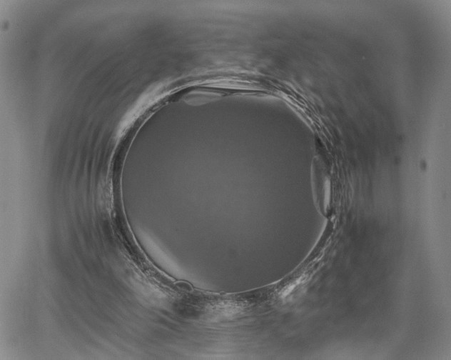 X0000067890198200604201318