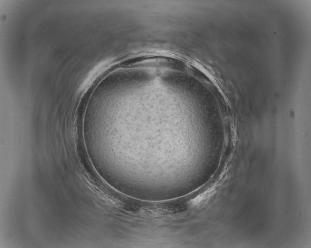 X0000067890199200604201318