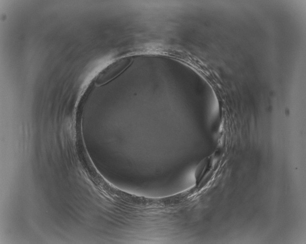 X0000067890200200604201318