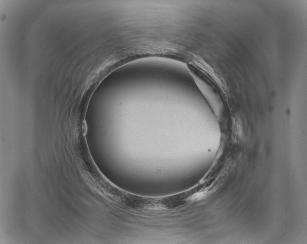 X0000067890203200604201318