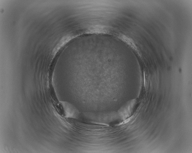 X0000067890204200604201318