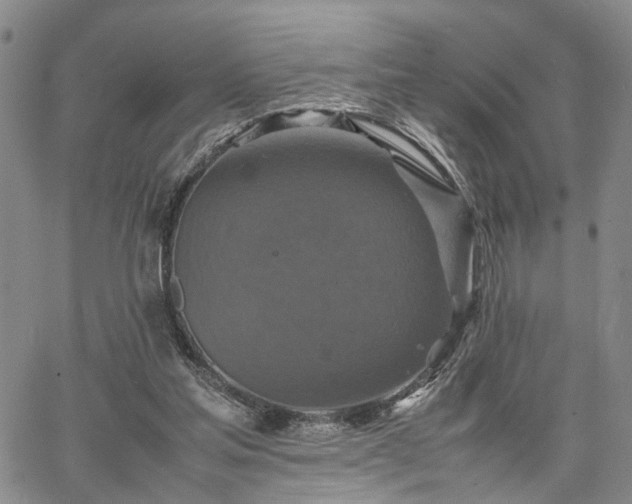 X0000067890205200604201318