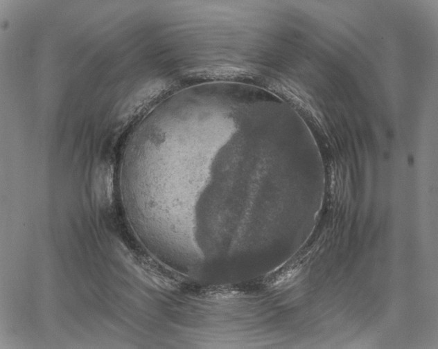 X0000067890206200604201318