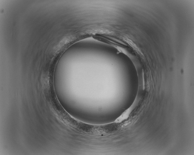 X0000067890207200604201318