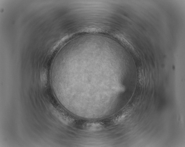 X0000067890208200604201318