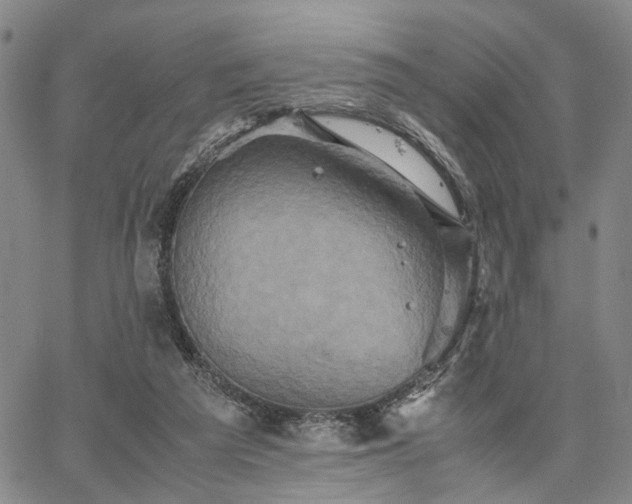 X0000067890209200604201318