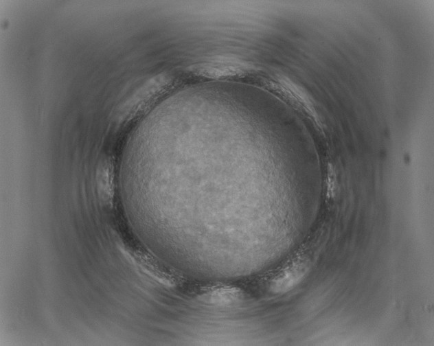 X0000067890210200604201317