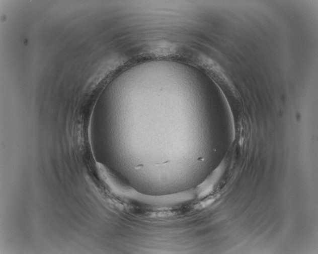 X0000067890212200604201317