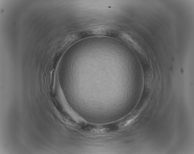 X0000067890213200604201317