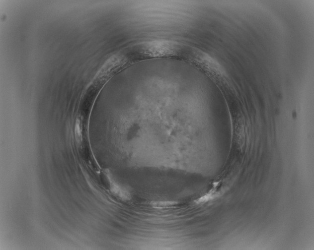 X0000067890214200604201317