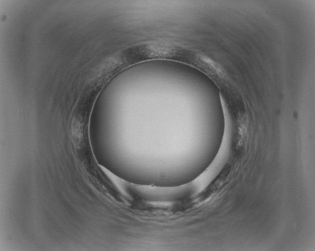 X0000067890215200604201317