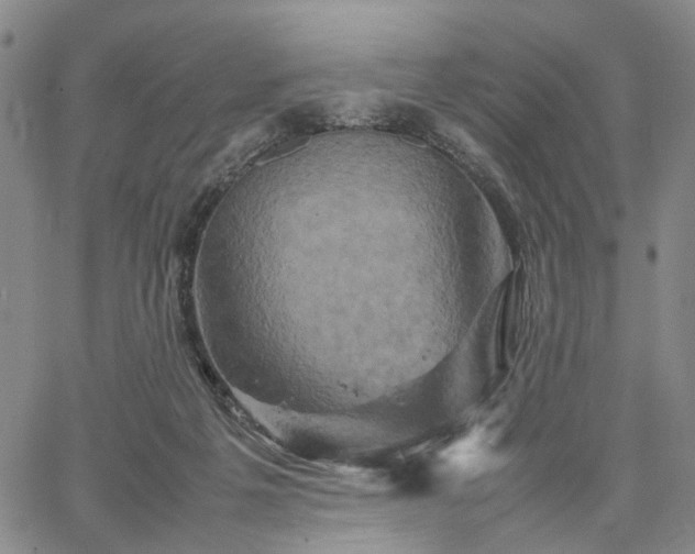 X0000067890217200604201317