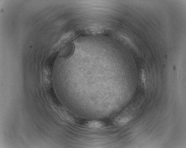 X0000067890218200604201317