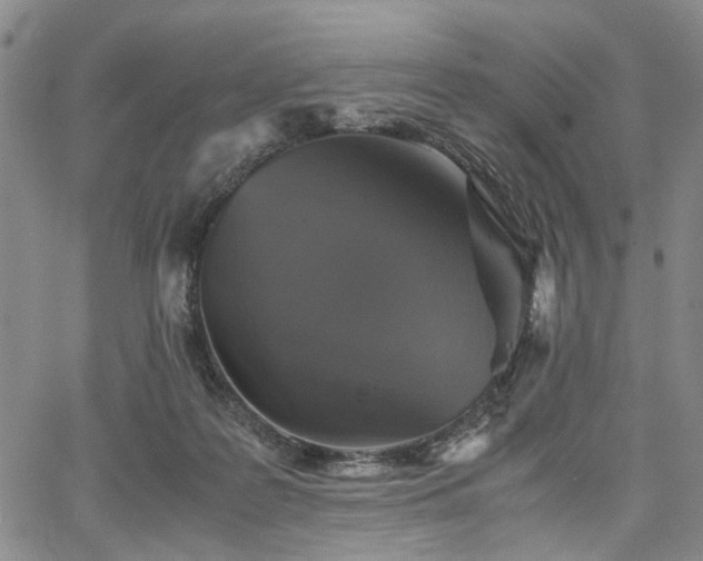 X0000067890219200604201317