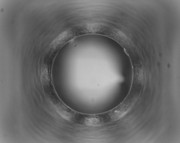 X0000067890220200604201317