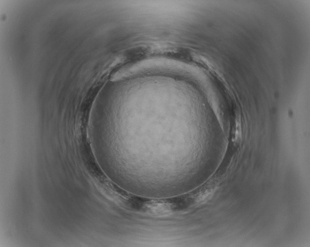 X0000067890221200604201317