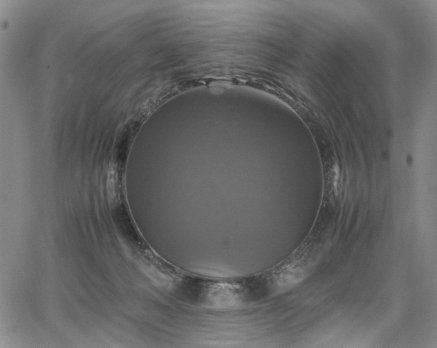 X0000067890222200604201317