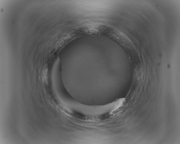 X0000067890223200604201317