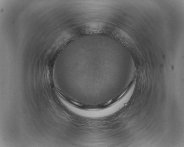 X0000067890224200604201317