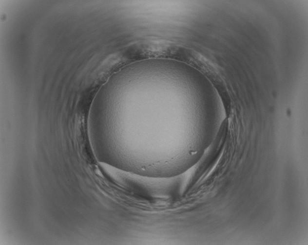 X0000067890225200604201317