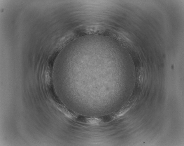 X0000067890226200604201317