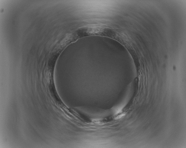 X0000067890227200604201317