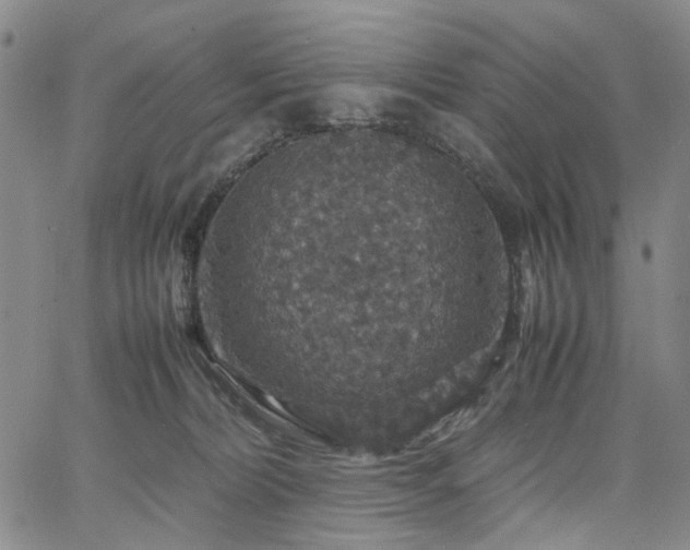 X0000067890228200604201317