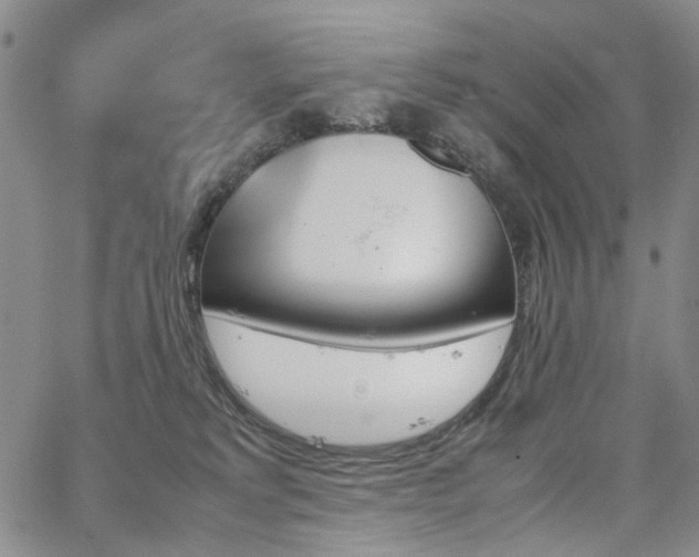 X0000067890229200604201317