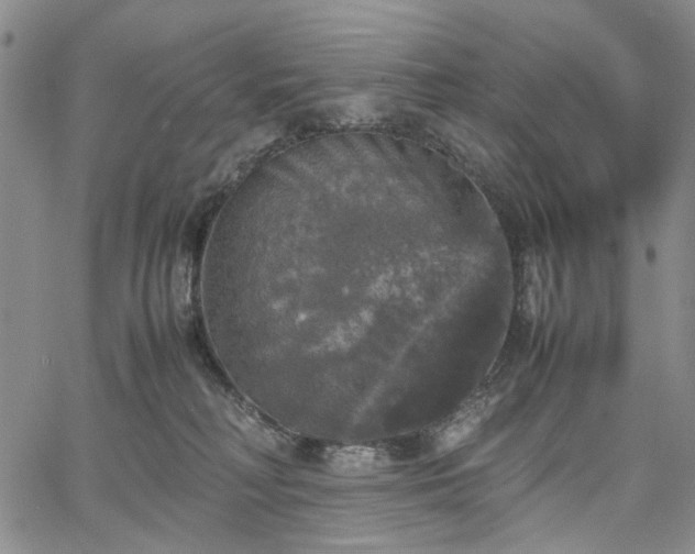 X0000067890230200604201317