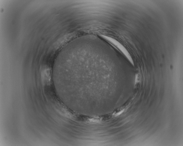 X0000067890232200604201317