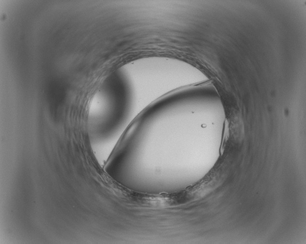 X0000067890233200604201317