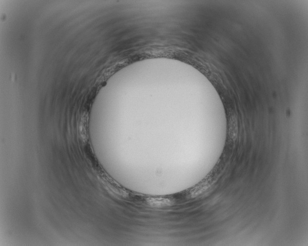 X0000067890234200604201317