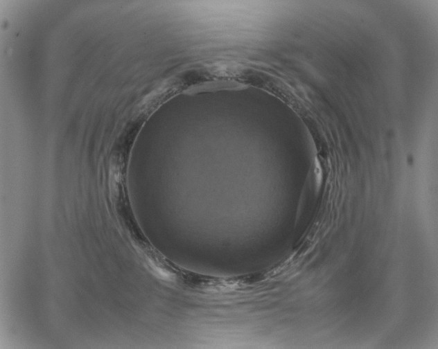 X0000067890235200604201317