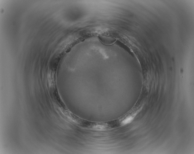 X0000067890236200604201317