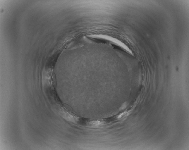 X0000067890237200604201317