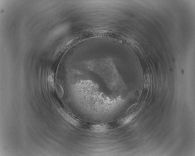 X0000067890238200604201317