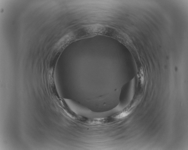 X0000067890239200604201317