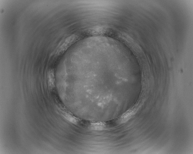 X0000067890240200604201317