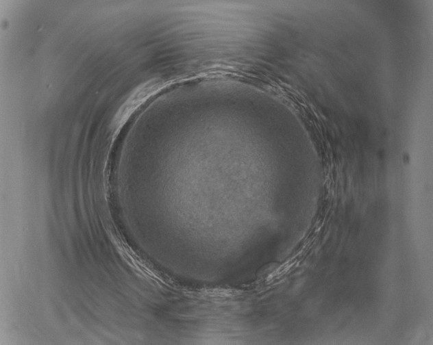 X0000067890242200604201316