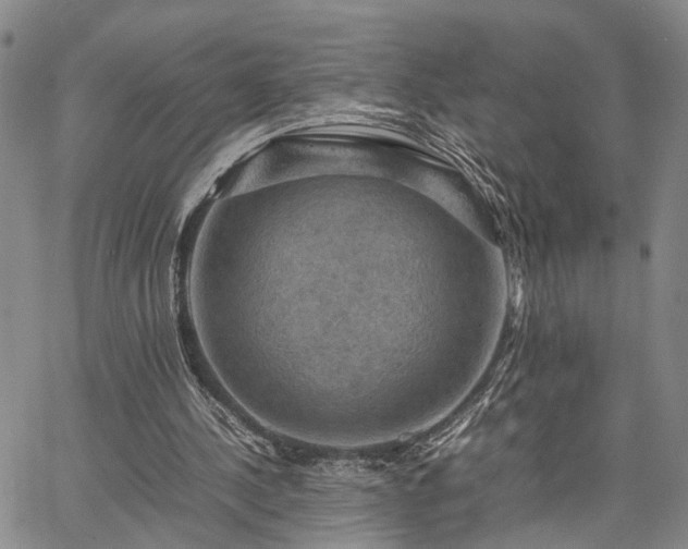 X0000067890244200604201316