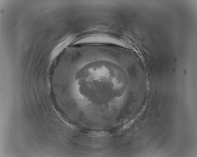 X0000067890245200604201316