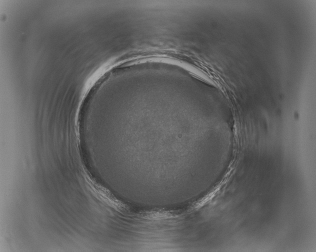 X0000067890246200604201316