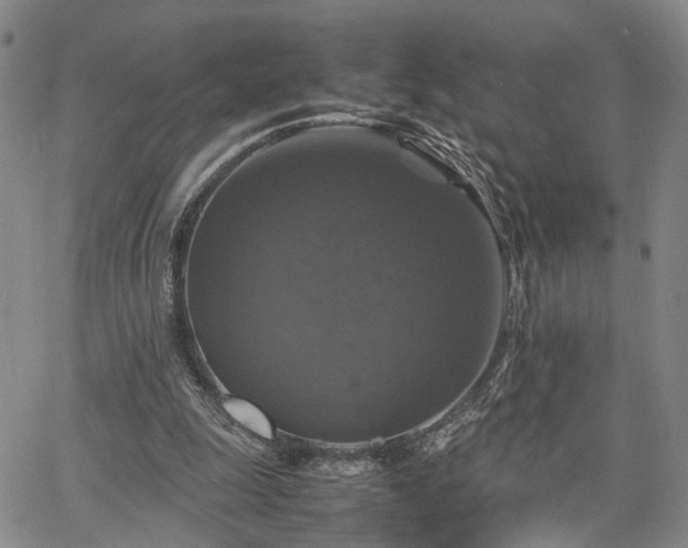 X0000067890247200604201316