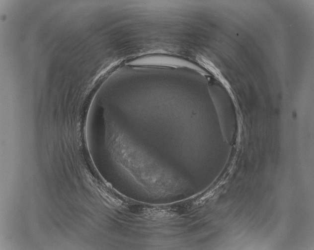 X0000067890249200604201316