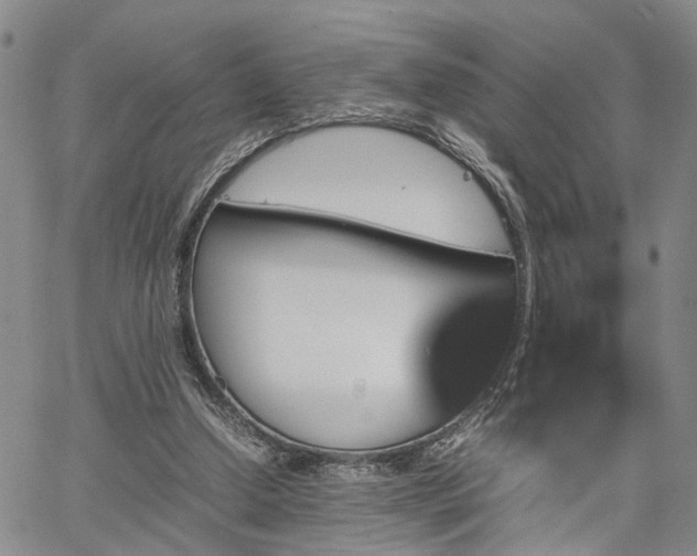 X0000067890250200604201316