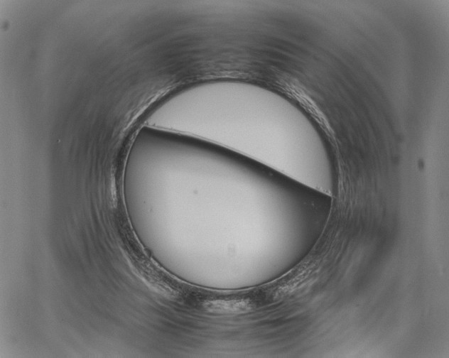 X0000067890251200604201316