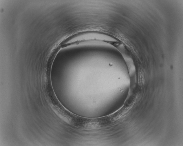 X0000067890252200604201316