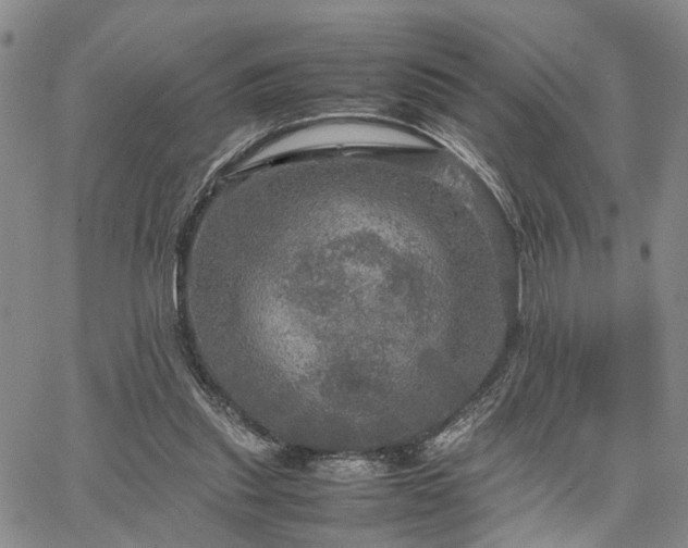 X0000067890253200604201316