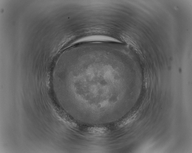 X0000067890255200604201316