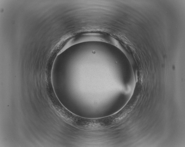 X0000067890256200604201316